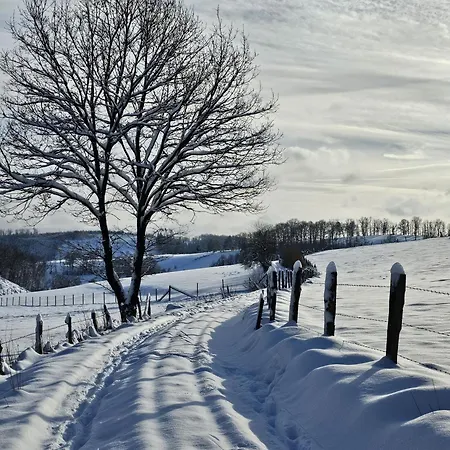 Halbfas-alterauge فندق Drolshagen