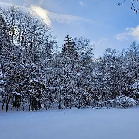 Halbfas-alterauge 2* Drolshagen