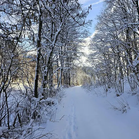 Halbfas-alterauge Hotel