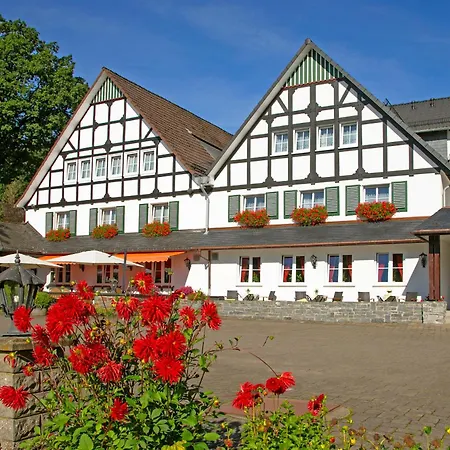 Halbfas-alterauge 2*