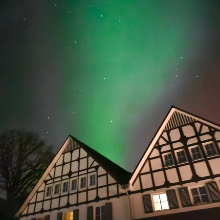 Halbfas-alterauge 2* Drolshagen