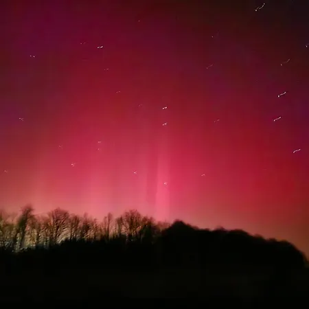 Halbfas-alterauge 2*