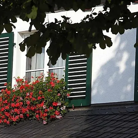 Hotel Halbfas-alterauge 2*