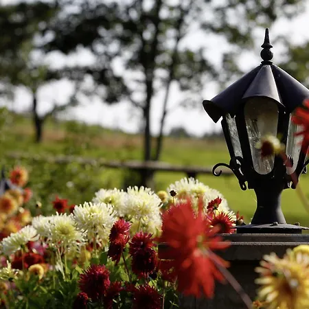 Hotel Halbfas-alterauge Drolshagen