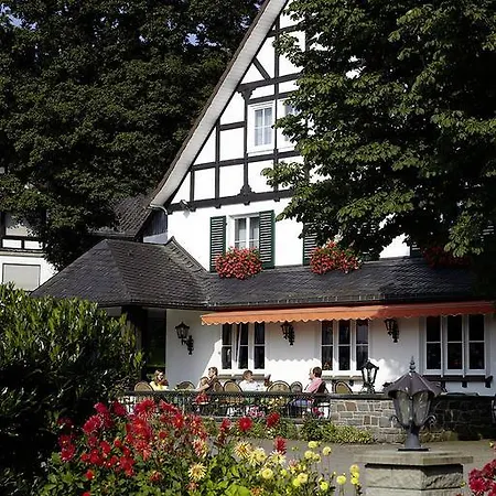 Halbfas-alterauge Drolshagen