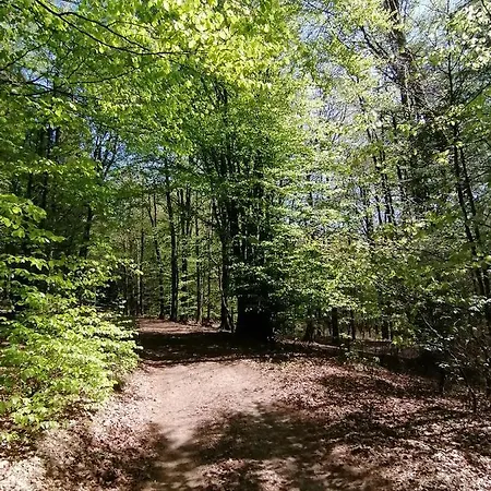 Halbfas-alterauge 2*