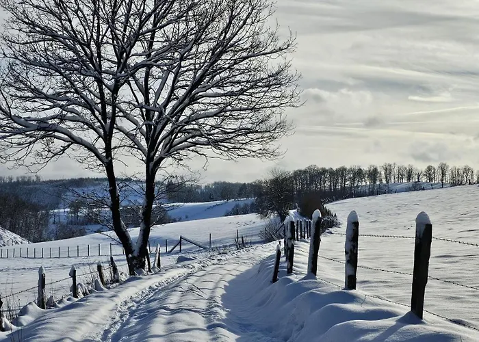 Halbfas-alterauge 호텔 드롤스하겐