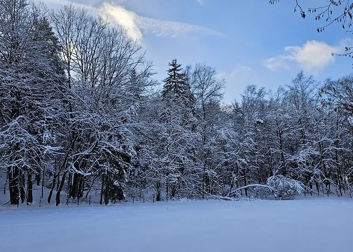 Halbfas-alterauge 2* 드롤스하겐