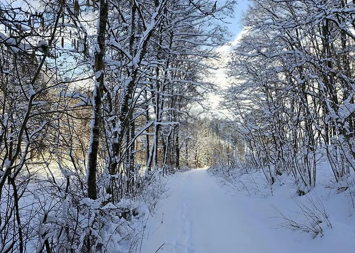 Halbfas-alterauge 호텔