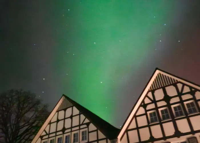 Halbfas-alterauge 2* 드롤스하겐