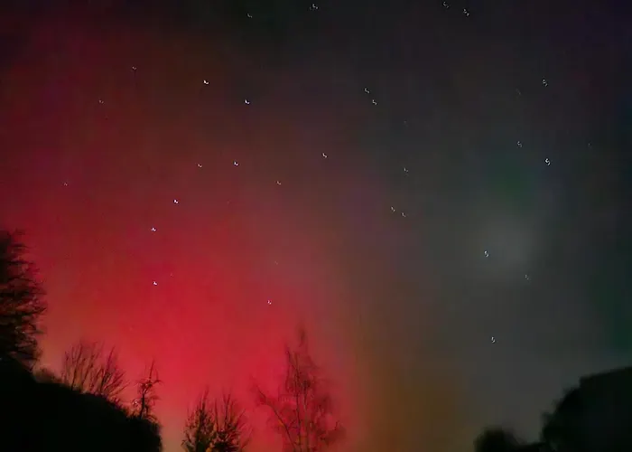 Halbfas-alterauge 호텔