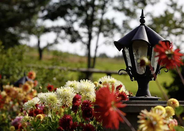 호텔 Halbfas-alterauge 드롤스하겐