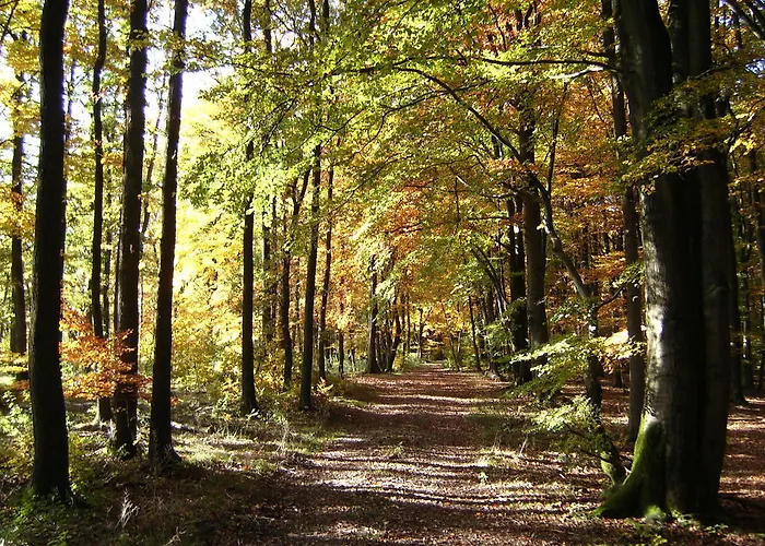 Halbfas-alterauge 드롤스하겐