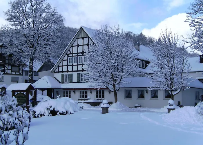 호텔 Halbfas-alterauge 2*